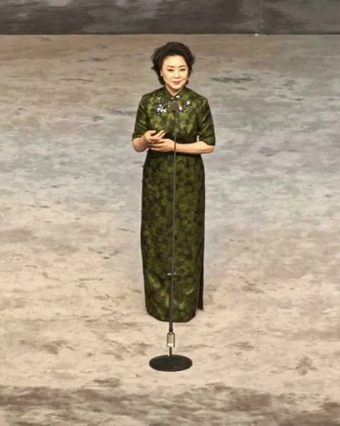 Woman standing behind a microphone stand blending perfectly with the background