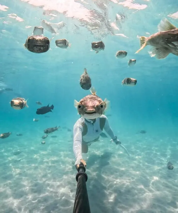 Underwater selfie with fish perfectly aligned to confuse the eye