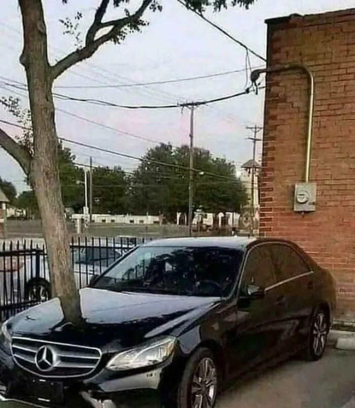 Black Mercedes car parked closely to a tree and wall creating a confusing visual effect
