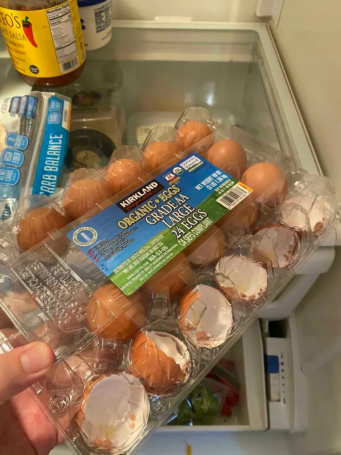 Egg carton with empty shells inside a refrigerator, showing unhinged things wives do.