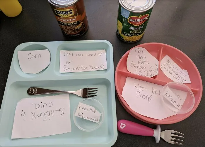 Blue and pink plates with notes for meal prep, showing cute things wives do