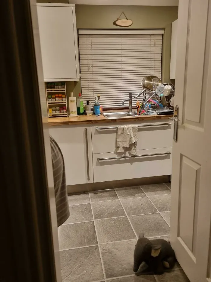 A messy kitchen counter with a tiny stuffed elephant doorstop, showing funny things wives do