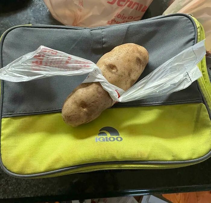Single raw potato sitting on a grey and yellow lunchbox, showing cute things wives do.