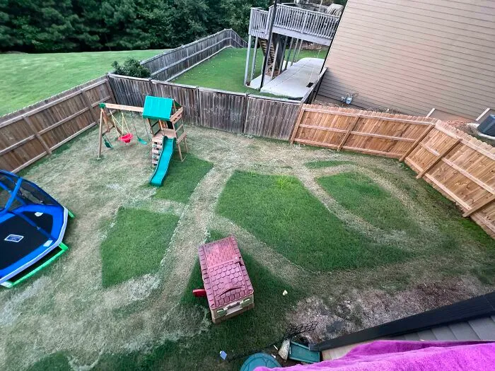 An overhead view of a backyard lawn with unevenly mowed patches showcasing husbands venting about wives.