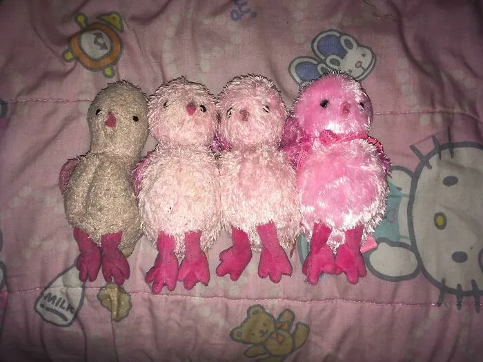 Four plush chick toys in various stages of wear, showing how time reshapes beloved toys