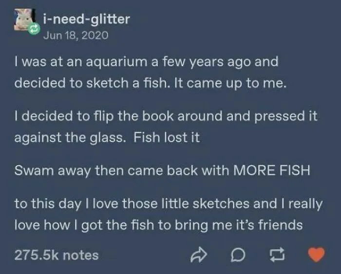 Tumblr story about sketching fish at aquarium that attracted more fish