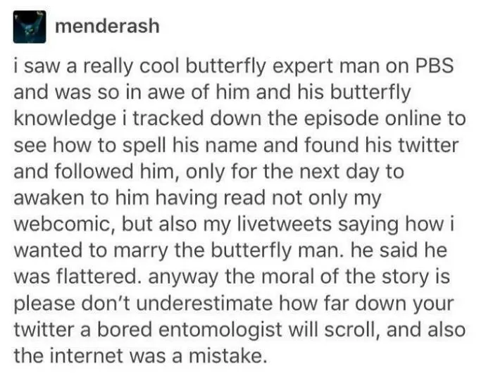 Tumblr post about a butterfly expert and a humorous Twitter interaction