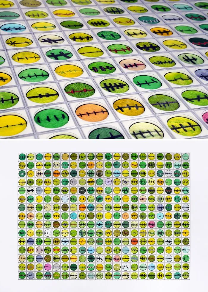 Rows of specimen slides showing unusual sculptures resembling stitched cellular structures in green and yellow