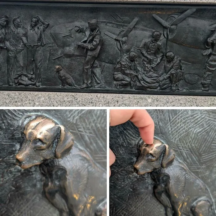 A bronze relief of a dog with a shiny head from being petted, showing how time slowly reshapes monuments
