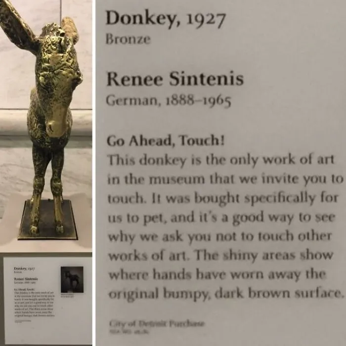 A bronze donkey statue showing how time slowly reshapes the sculpture from visitors touching it