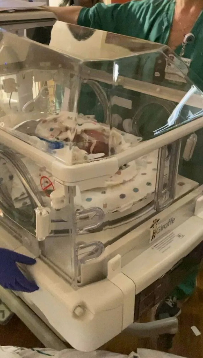 A newborn resting inside a hospital incubator, depicting wholesome dads welcoming their new baby.