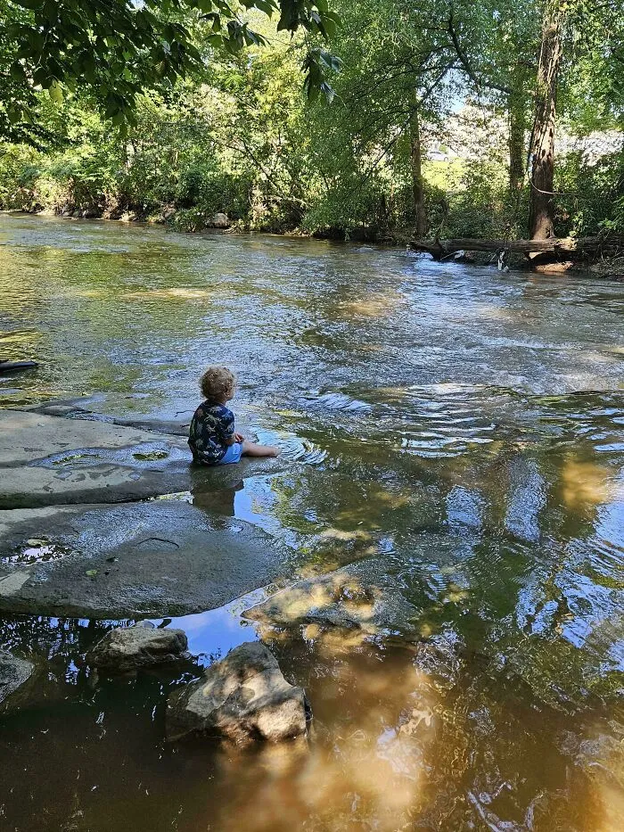 A wholesome view of a child sitting in a shallow stream surrounded by trees