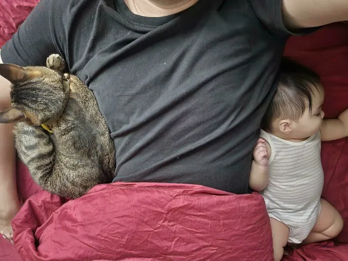 Wholesome dads moment with a dad sleeping next to a baby and a cat