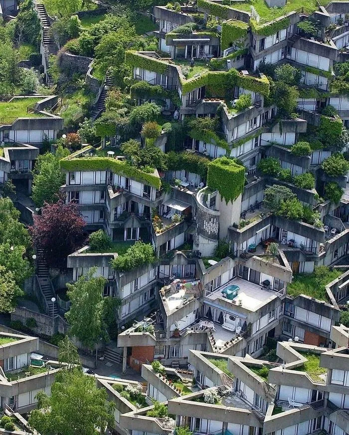 Angular terraced concrete building covered in green plants, showcasing unique architectural masterpieces.