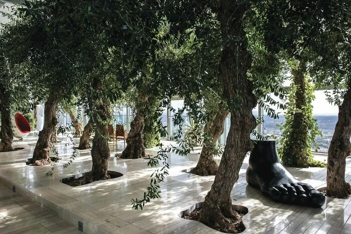 Indoor olive trees and giant foot sculpture creating architectural masterpieces in a modern atrium design