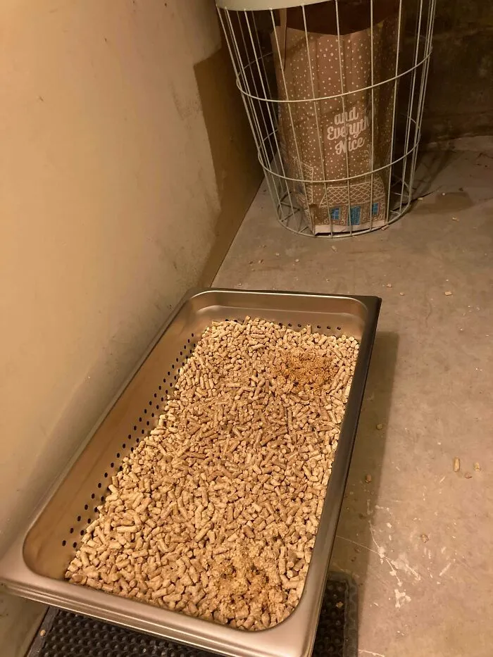 A stainless steel steam pan used as a cat litter box as one of the frugal tips