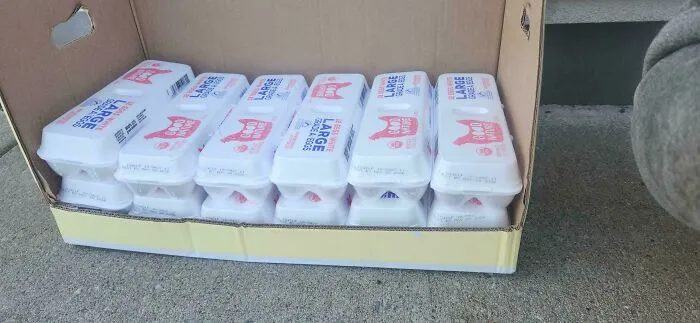 A large box filled with cartons of eggs offering frugal tips for buying groceries in bulk.