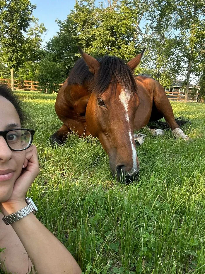 Woman taking a selfie with a brown horse lying in the grass for wholesome animal pics.