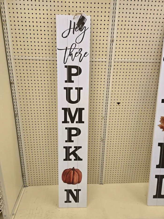 I Cannot See Anything Other Than "Pumpkon"