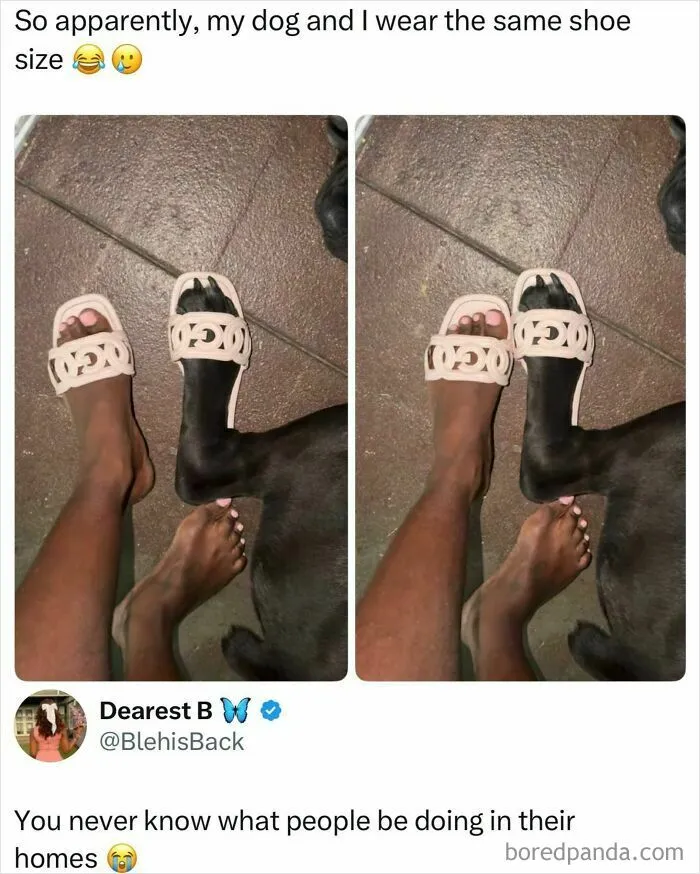 Dog and owner wearing matching pink slide sandals on feet meme