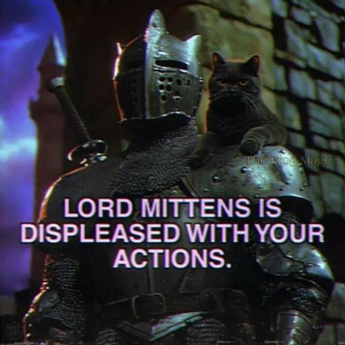 Funny memes showing a knight in armor with a black cat on his shoulder and captions.