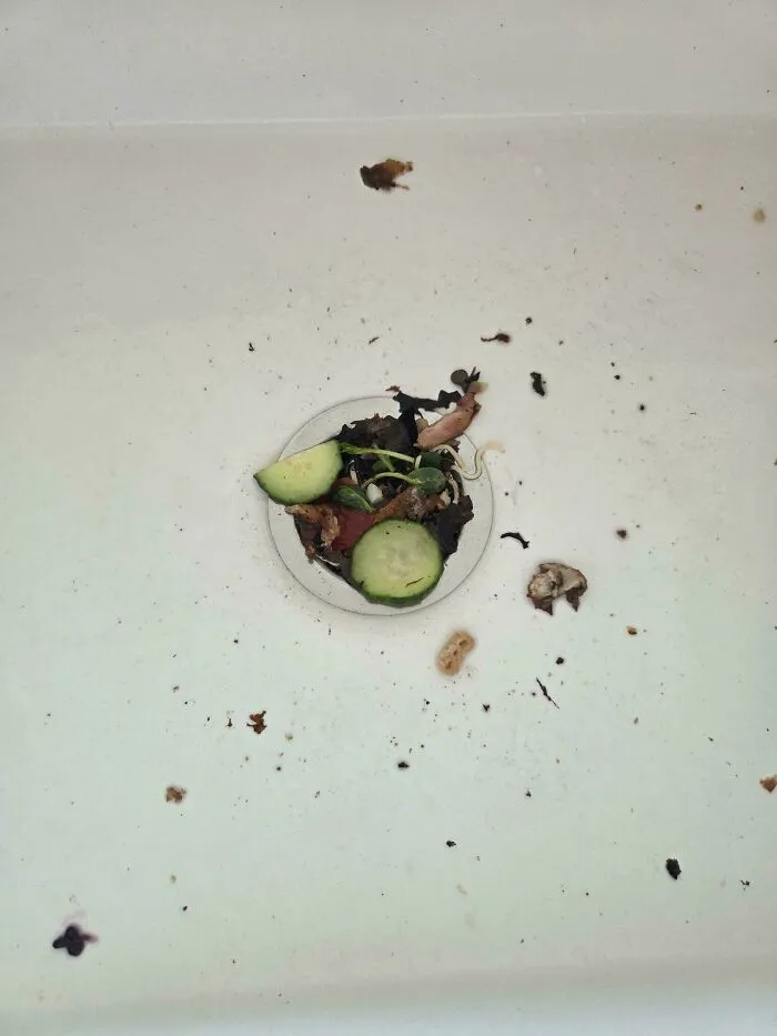 A sink drain clogged with cucumber slices and salad scraps, illustrating the sheer audacity in daily life