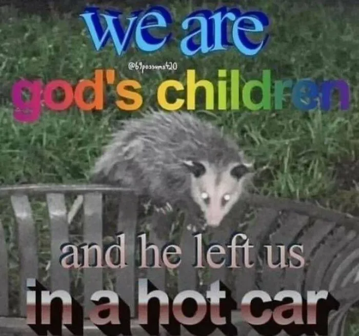 Funny memes of an opossum on a bench with existential text about being left in a hot car.
