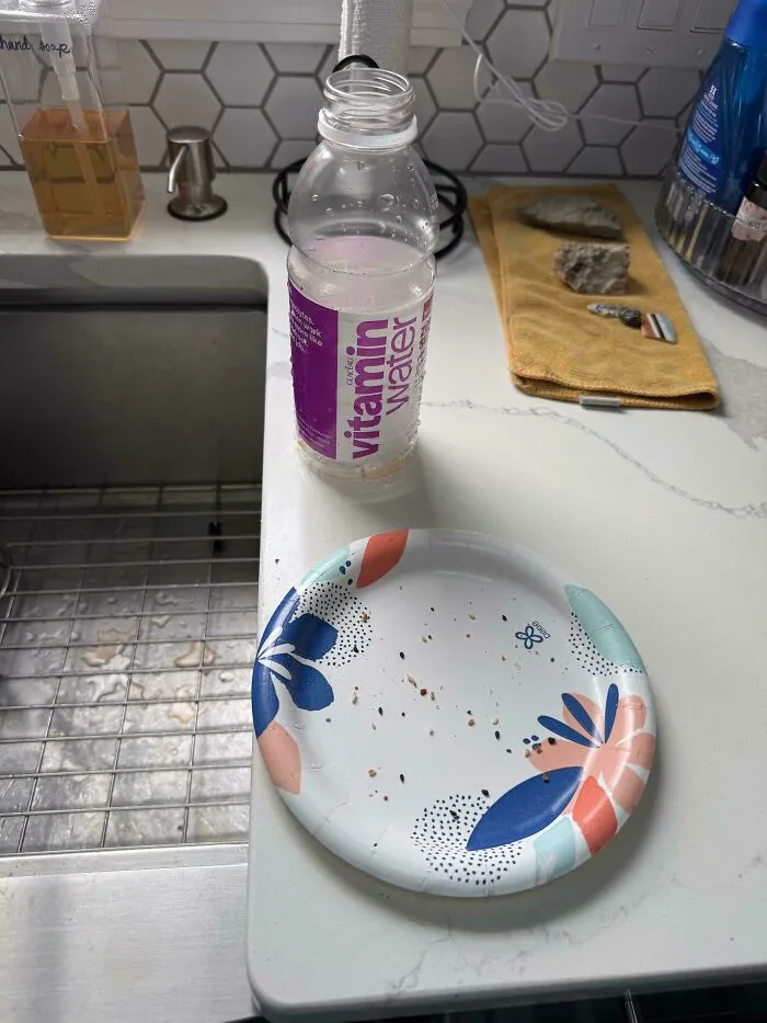 An empty paper plate and open drink bottle on a kitchen counter, highlighting sheer audacity of mess.