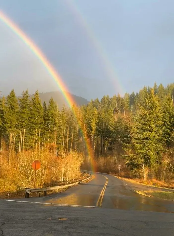 A vibrant double rainbow arching perfectly over a winding forest road after a rainstorm.