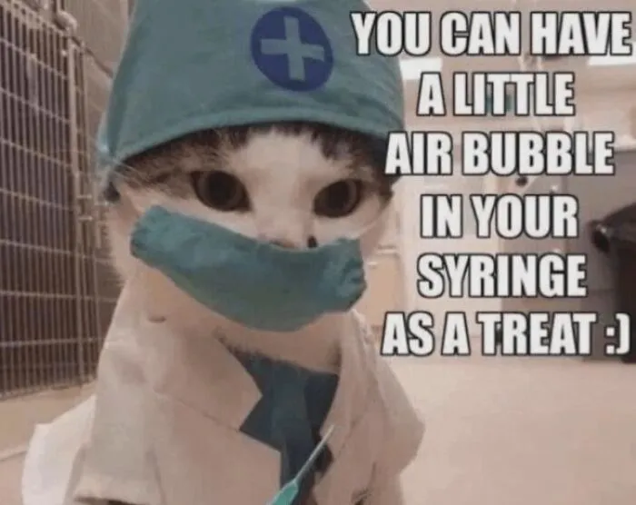 Funny memes with a cute cat dressed as a surgeon with a syringe joke caption