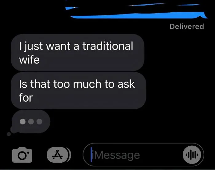 A text message screenshot with a man stating he just wants a traditional wife