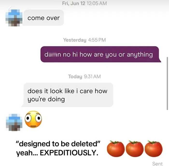 Chat screenshot showing the sheer audacity of a man sending insensitive dating messages to a woman