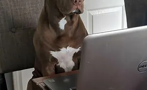 83 Animals Who Are Equal Parts Adorable And Surprisingly Useful