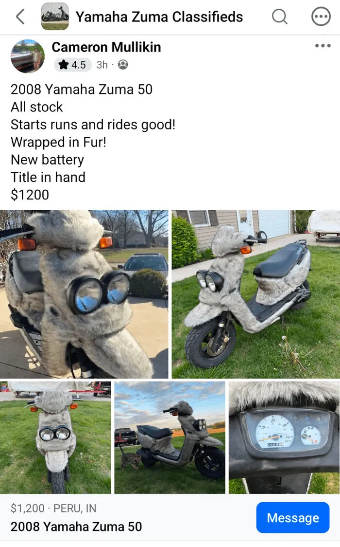 A classified listing for a scooter wrapped in gray fur, one of many awful creations that are far too well made.