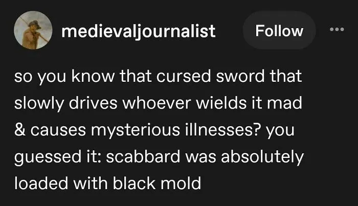Funny and random posts from Tumblr featuring a joke about a cursed sword and black mold.