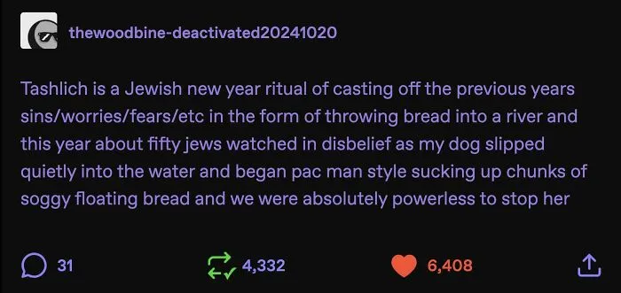 Funny and random posts from Tumblr about a dog eating bread during a Tashlich ritual in a river.