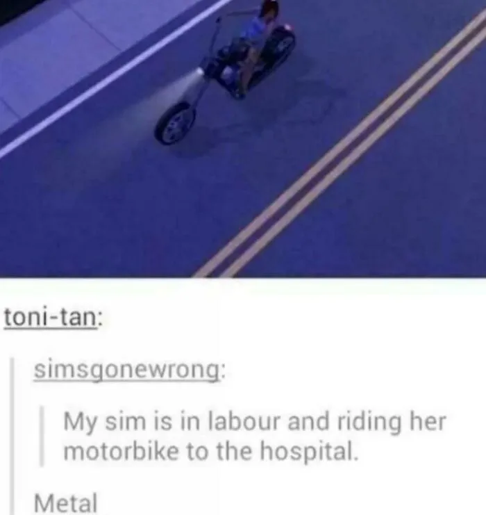 Funny and random posts from Tumblr about a pregnant Sim riding a motorcycle.
