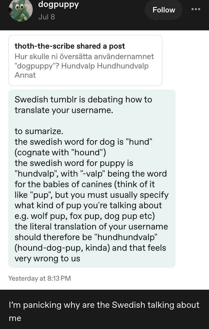 Funny Tumblr post showing Swedish users debating how to translate a username into Swedish.