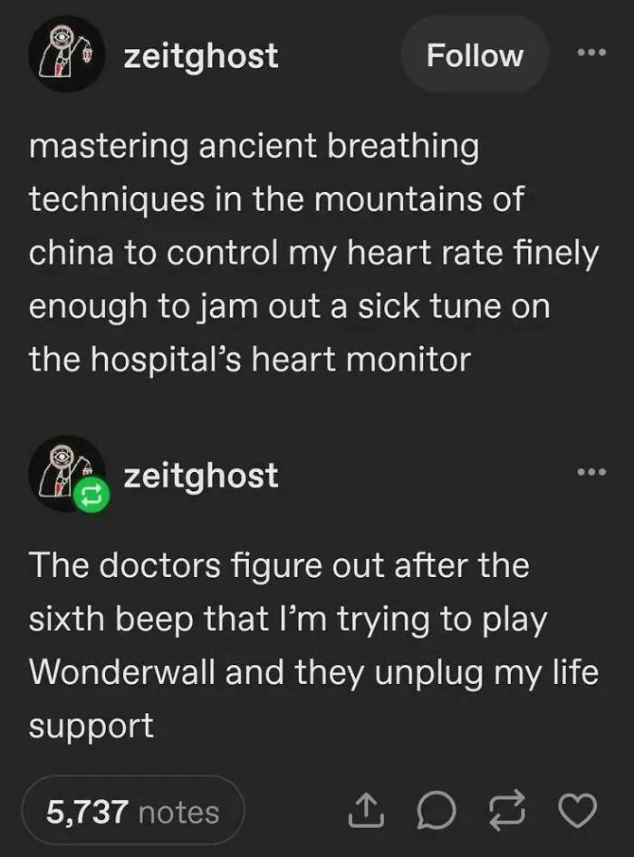 Funny Tumblr post about using ancient breathing techniques to play Wonderwall on a hospital heart monitor.