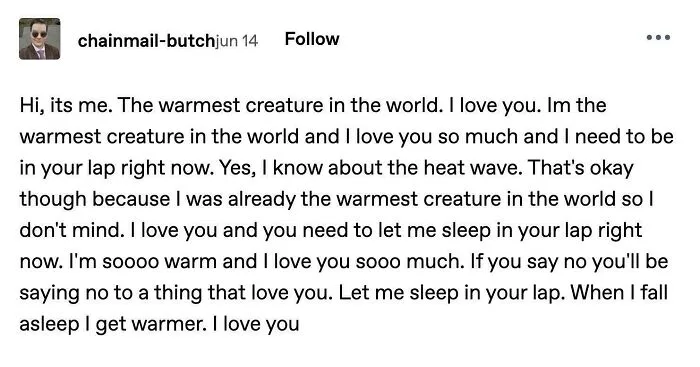 Text-based screenshot of random posts from Tumblr about a warm pet wanting to cuddle.