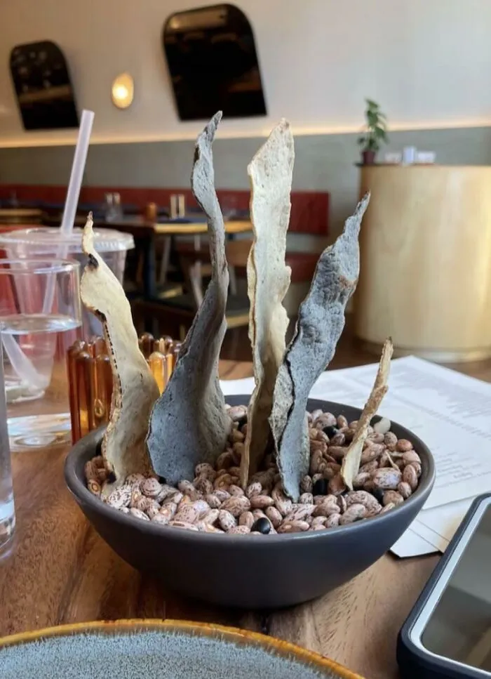 Tortilla chips standing vertically in a bowl of dry beans, showcasing unusual food combinations.