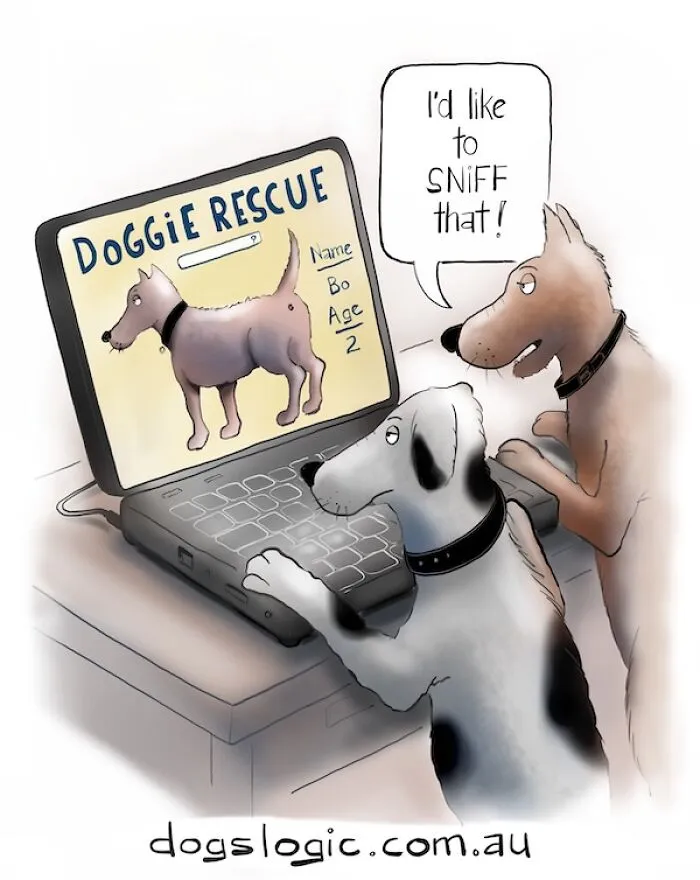 Clever dog logic comic showing dogs browsing a pet rescue website on a computer.