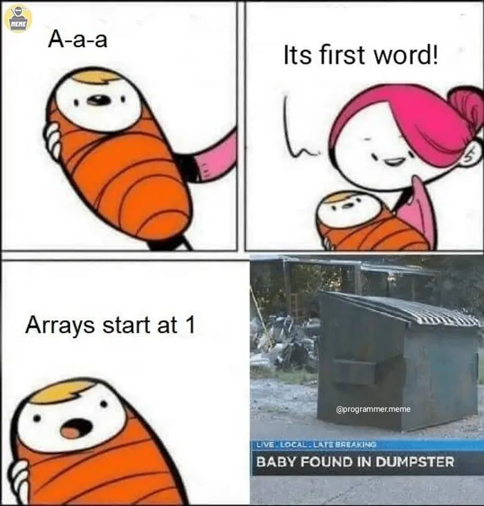 Comic meme about arrays starting at 1 and baby found in dumpster programmer humor
