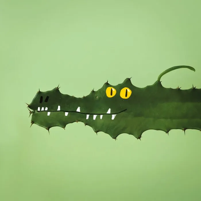 A playful illustration of a green cactus leaf transformed into a crocodile head with painted yellow eyes and teeth