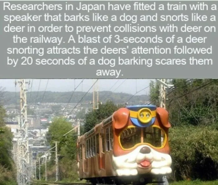 A dog-shaped train designed to scare deer, an interesting fact for your next quiz night.