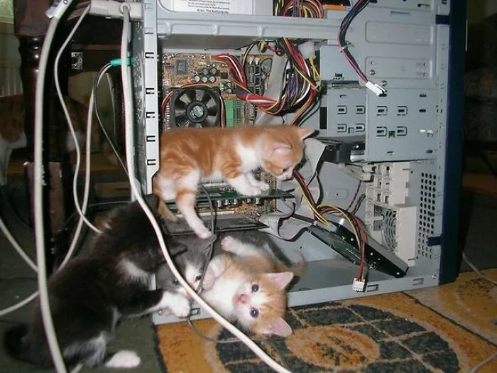 44 Times Cats Took On Real Jobs With Very Questionable Work Ethics, As Shared By This Page