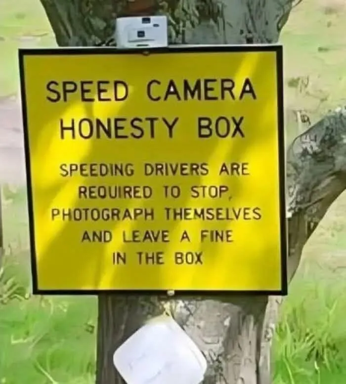 97 Funny Signs People Found In The Wild And Had To Photograph