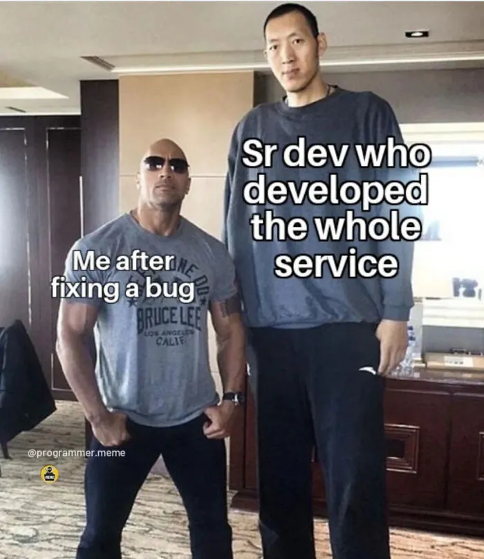 Meme comparing bug fixers to senior developers with a humorous size difference