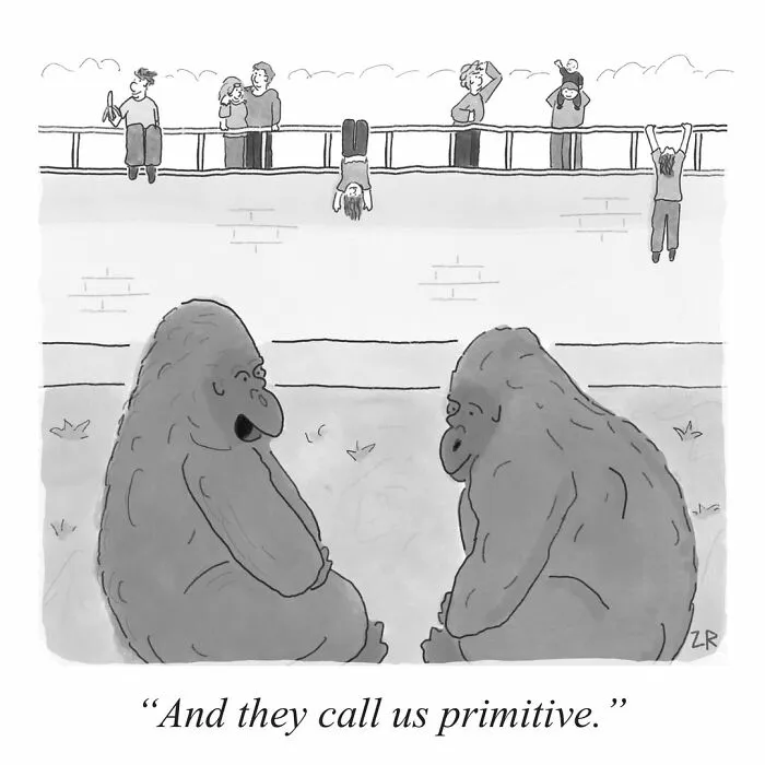 45 New Comics By Zack Rhodes That Make Everyday Life A Little More Absurd