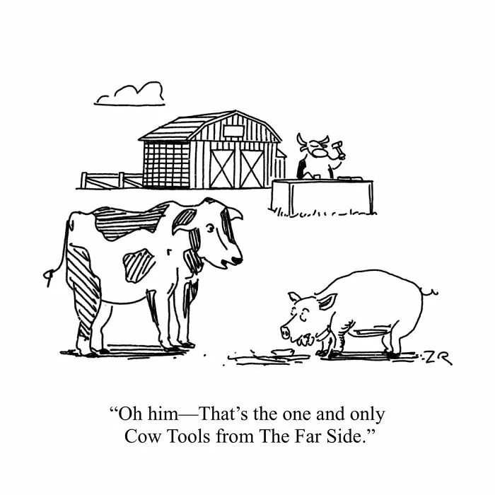 45 New Comics By Zack Rhodes That Make Everyday Life A Little More Absurd